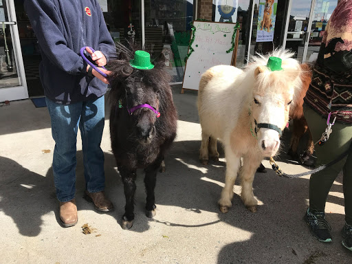 Pet Store «The Pet Place», reviews and photos, 240 Shadowline Dr, Boone, NC 28607, USA