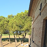 Photo n°4 de l'avis de Emilio.i fait le 09/07/2023 à 20:05 sur le  Il Granaio à Porto Sant'Elpidio