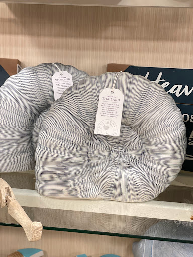 Department Store «Marshalls & HomeGoods», reviews and photos, 1460 10th Way NE, Issaquah, WA 98027, USA