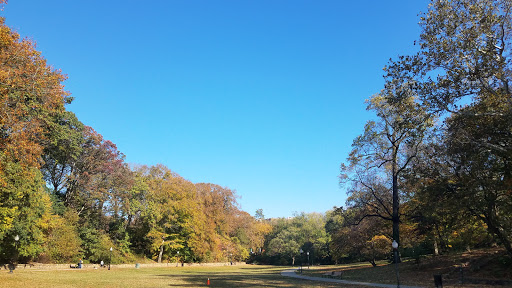 Art Museum «Baltimore Museum of Art», reviews and photos, 10 Art Museum Dr, Baltimore, MD 21218, USA