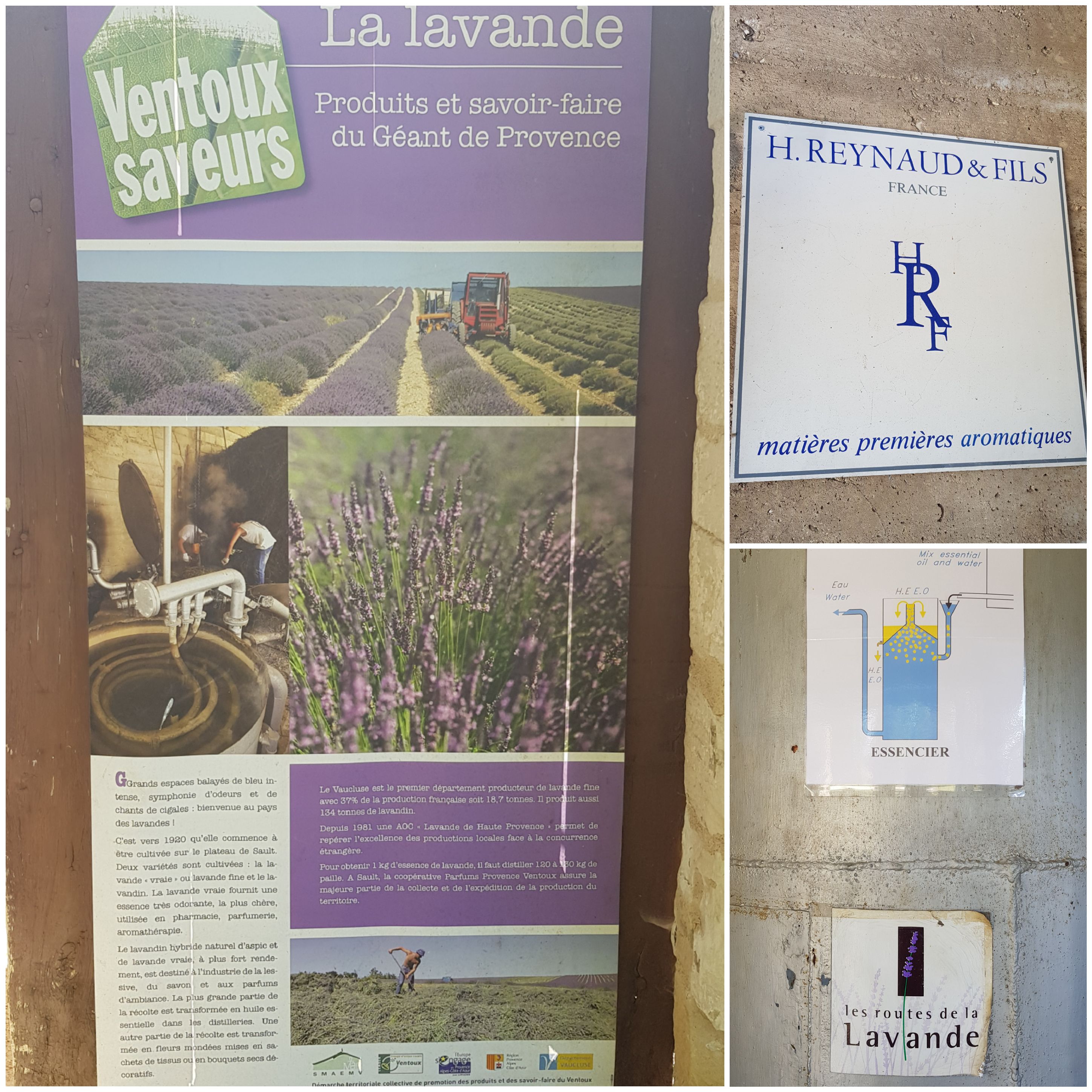 Photo n° 1 de l'avis de Renata.i fait le 08/07/2018 à 19:06