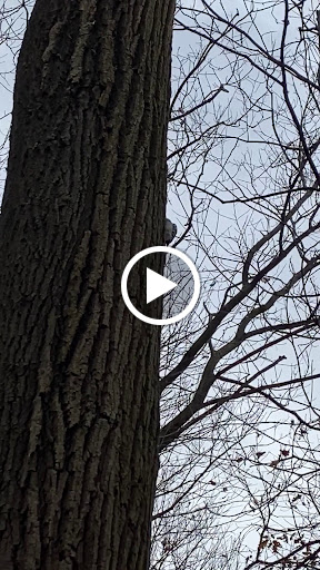 Nature Preserve «Flat Rock Brook Nature Center», reviews and photos, 443 Van Nostrand Ave, Englewood, NJ 07631, USA