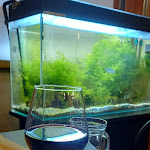 Photo n°1 de l'avis de edi.a fait le 15/02/2024 à 20:31 sur le  Le Agavi à Trieste