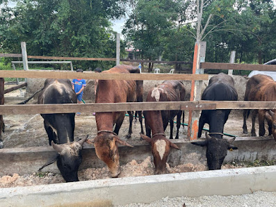 Hamka Farm 8 t/l 4 rezab 1, Jalan Parit Daun, 86400 Parit Raja, Johor, Malaysia