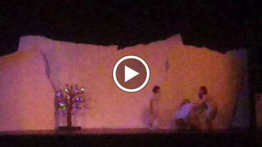 Performing Arts Theater «Polk Theatre», reviews and photos, 139 Florida Ave S, Lakeland, FL 33801, USA