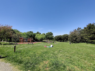 Parc Sportif Aire De Jeux à Toulouse