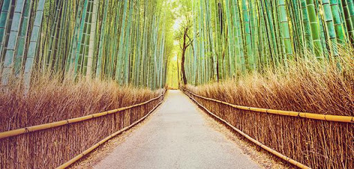 Tour Agency «Asia Transpacific Journeys», reviews and photos, 2995 Center Green Ct, Boulder, CO 80301, USA