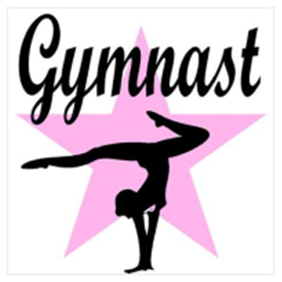 Gymnastics Center «Pink Pearl Gymnastics», reviews and photos, 406 Davis St #101, Virginia Beach, VA 23462, USA