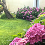 Photo n°5 de l'avis de Mimmo.a fait le 25/06/2018 à 12:22 sur le  Cala Luas Resort à Cardedu