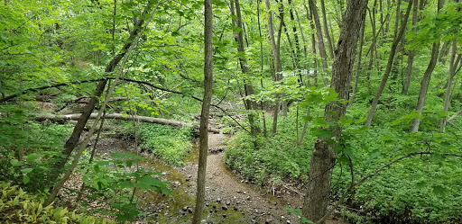 Park «Lions Park», reviews and photos, 8875 McEvilly Rd, Minooka, IL 60447, USA