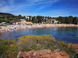 Plage de Camp Long'in fotoğrafı küçük koy ile birlikte