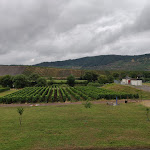 Photo n°3 de l'avis de Brigitte.p fait le 25/07/2023 à 18:20 sur le  Cafe und Wirtshaus Panorama à Leiwen