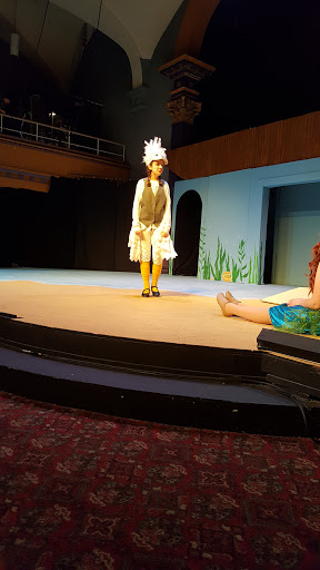 Performing Arts Theater «Schenectady Light Opera Co», reviews and photos, 427 Franklin St, Schenectady, NY 12305, USA