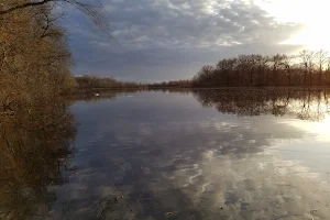 Arlington Wetlands image