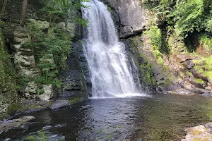 Bushkill Falls image