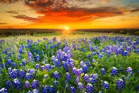 Paramount Property Analysts - Car repair in College Station, TX, College Station - Rated 5.0/5