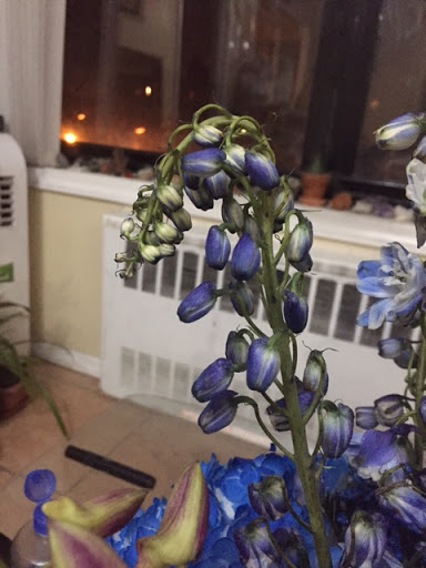 Florist «Heavenly Flowers», reviews and photos, 31 W Merrick Rd, Freeport, NY 11520, USA