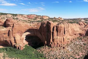 Navajo National Monument image