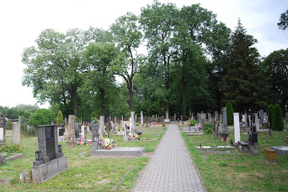 Hřbitov Černovír