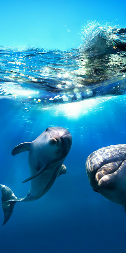 Tobacco Shop «Elab Smokers Boutique Too», reviews and photos, 719 Monroe Ave, Rochester, NY 14607, USA