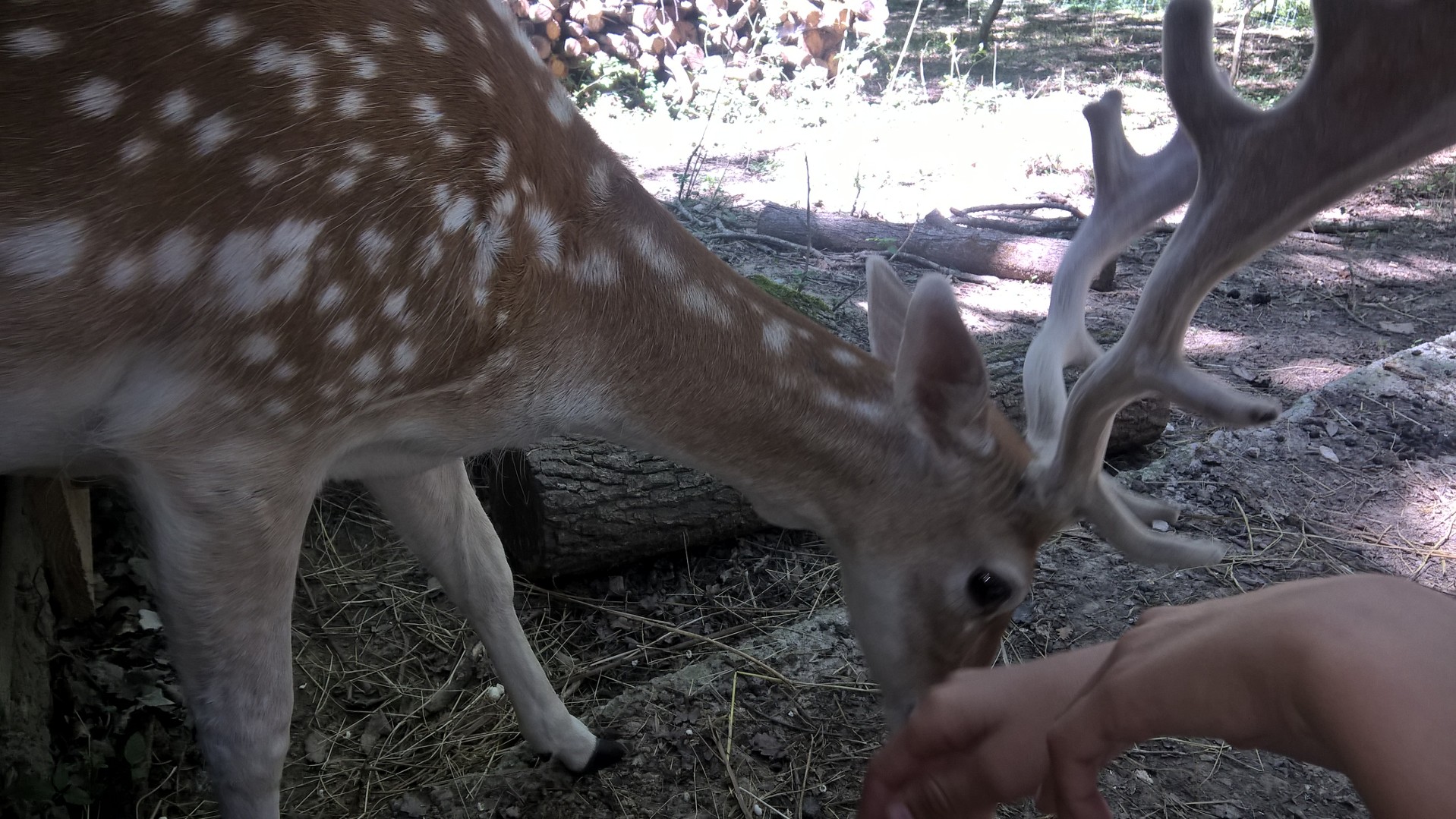 Photo n° 1 de l'avis de Sarah. fait le 15/07/2017 à 16:33