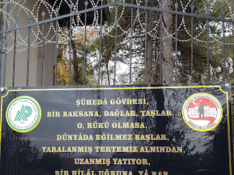 Tmo Polatlı Şubesi