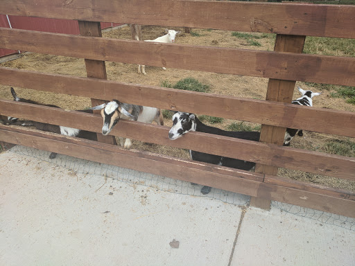 Farm «Goat Milk Stuff», reviews and photos, 76 S Lake Rd N, Scottsburg, IN 47170, USA