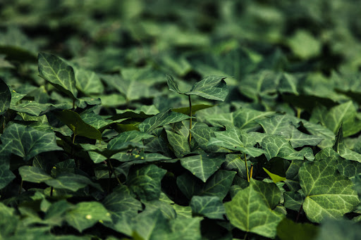Aptive Environmental image