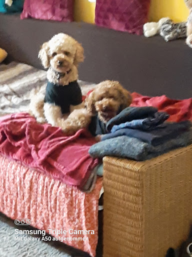 Tierarztpraxis im Mindeltal - Dr. C. Krinn; Dr S. Mayer; TA I. Abdo - (ehemals Tierarztpraxis Dr. Catharine Krinn) unter Mindelheim, Bayern