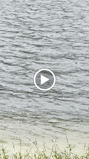 Park «C.B. Smith Park», reviews and photos, 900 N Flamingo Rd, Pembroke Pines, FL 33028, USA