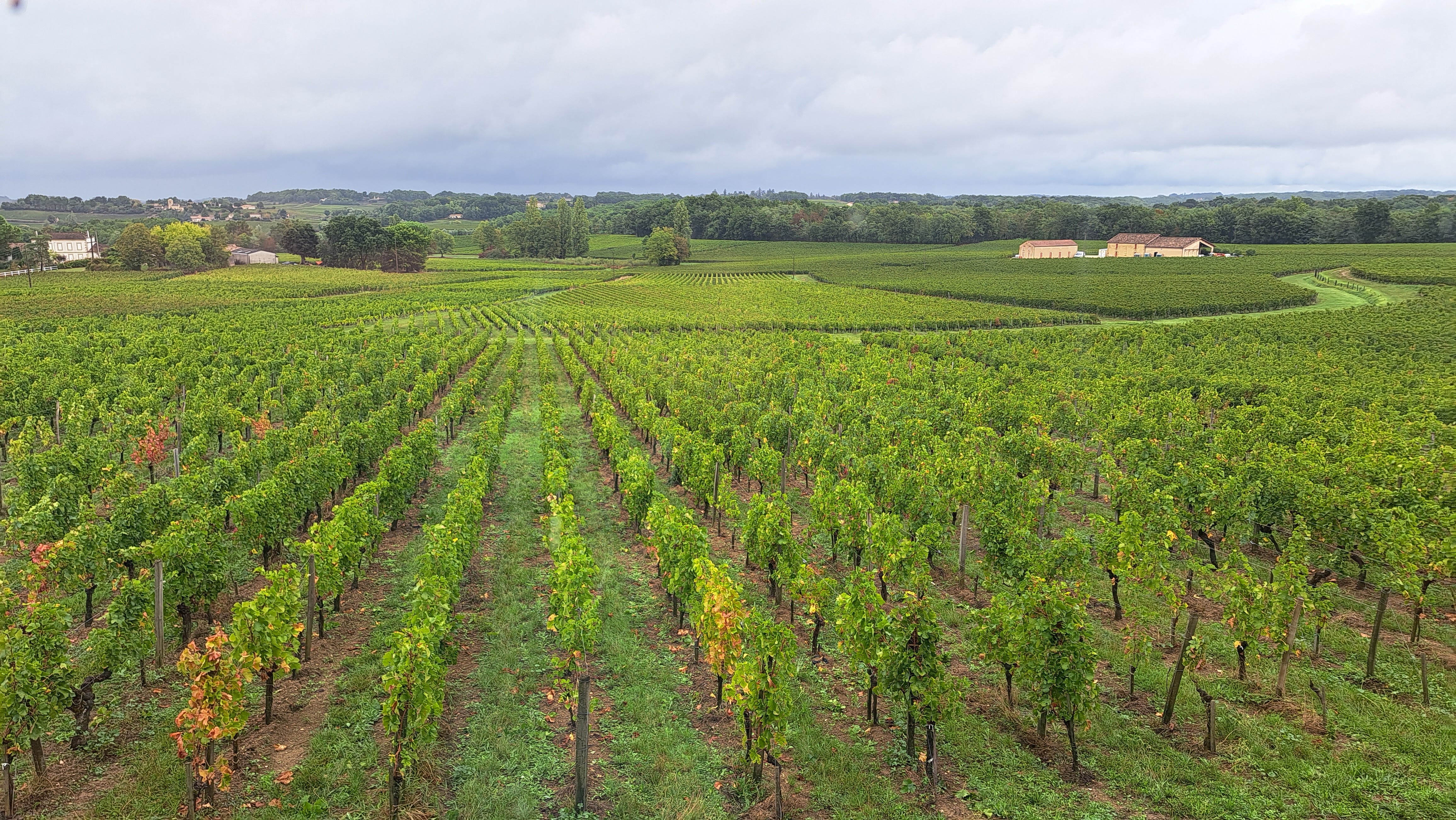 Photo n° 9 de l'avis de Gérard.e fait le 25/09/2023 à 19:32