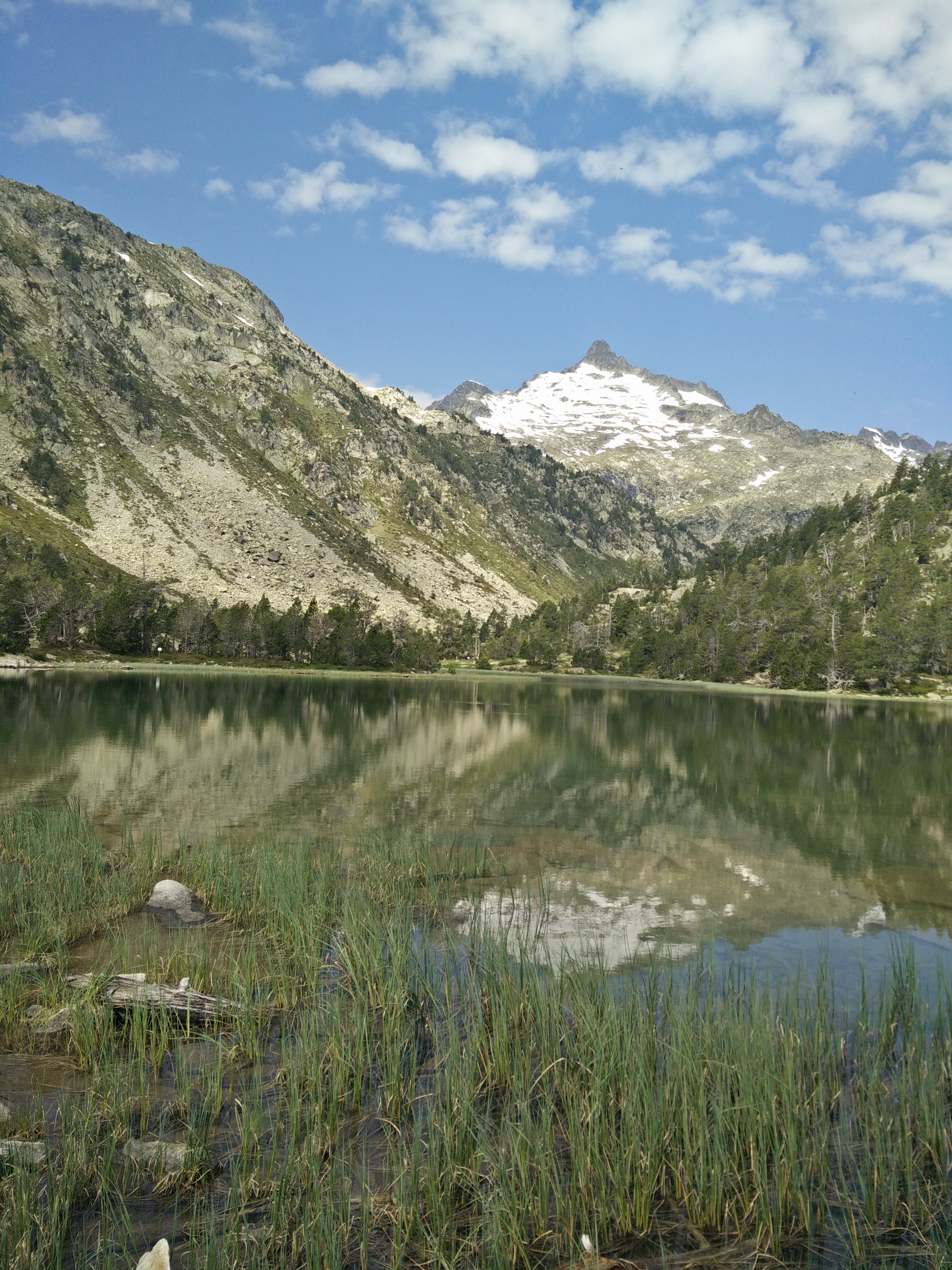 Photo n° 12 de l'avis de LOUIT.O fait le 25/06/2020 à 13:20