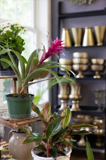 Florist «The Flower Shop», reviews and photos, 101 Dundee Ave #100, Chester, MD 21619, USA