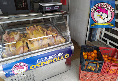 Distribuidora de pollo OSPIPOLLO