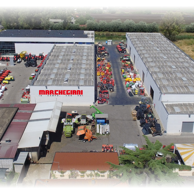 MARCHEGIANI - Pontine Tractors Ltd.