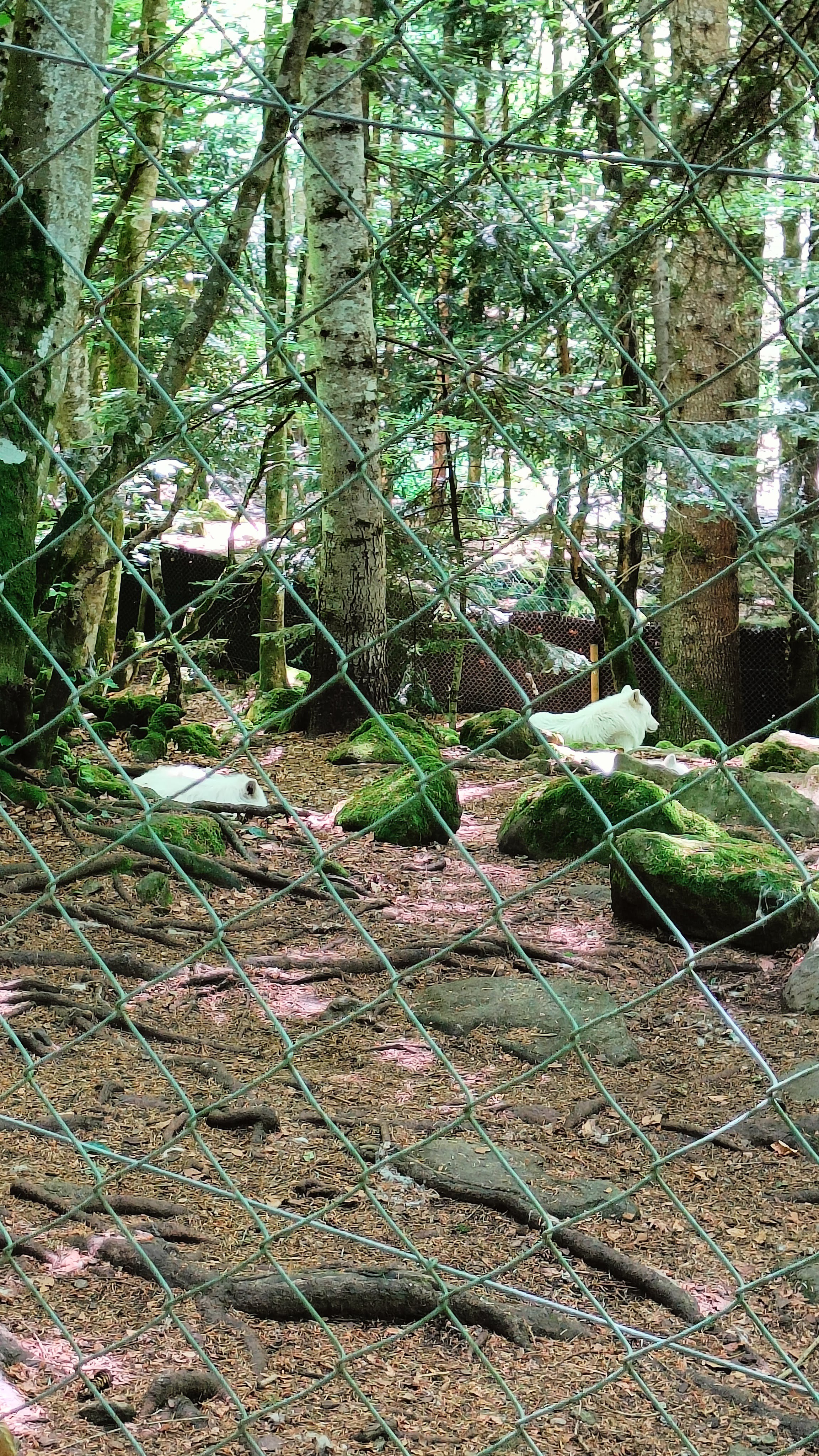 Photo n° 3 de l'avis de Nadège.N fait le 31/05/2022 à 18:17