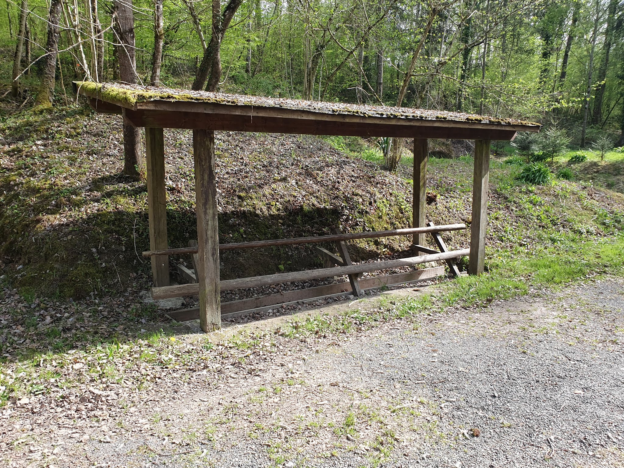 Photo n° 18 de l'avis de Nachtalb. fait le 23/04/2019 à 12:32