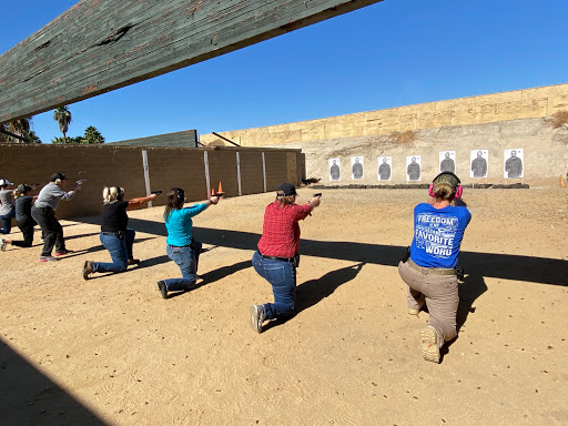 Artemis Defense Institute image