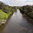 Yarra Bank Reserve