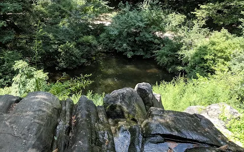 Hallett Nature Sanctuary image