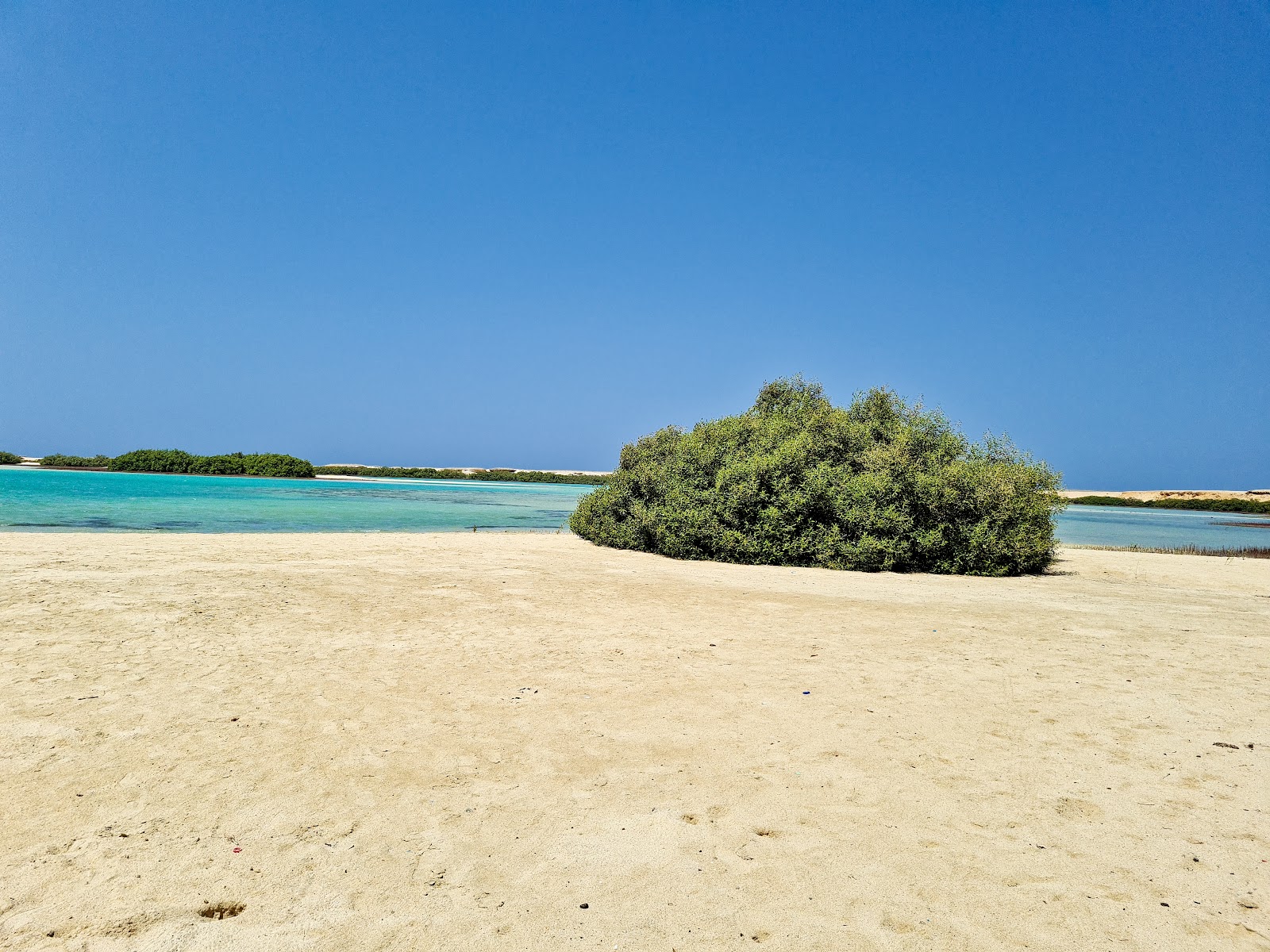 Fotografija Qulaan Mangrove Beach priljubljeno mesto med poznavalci sprostitve