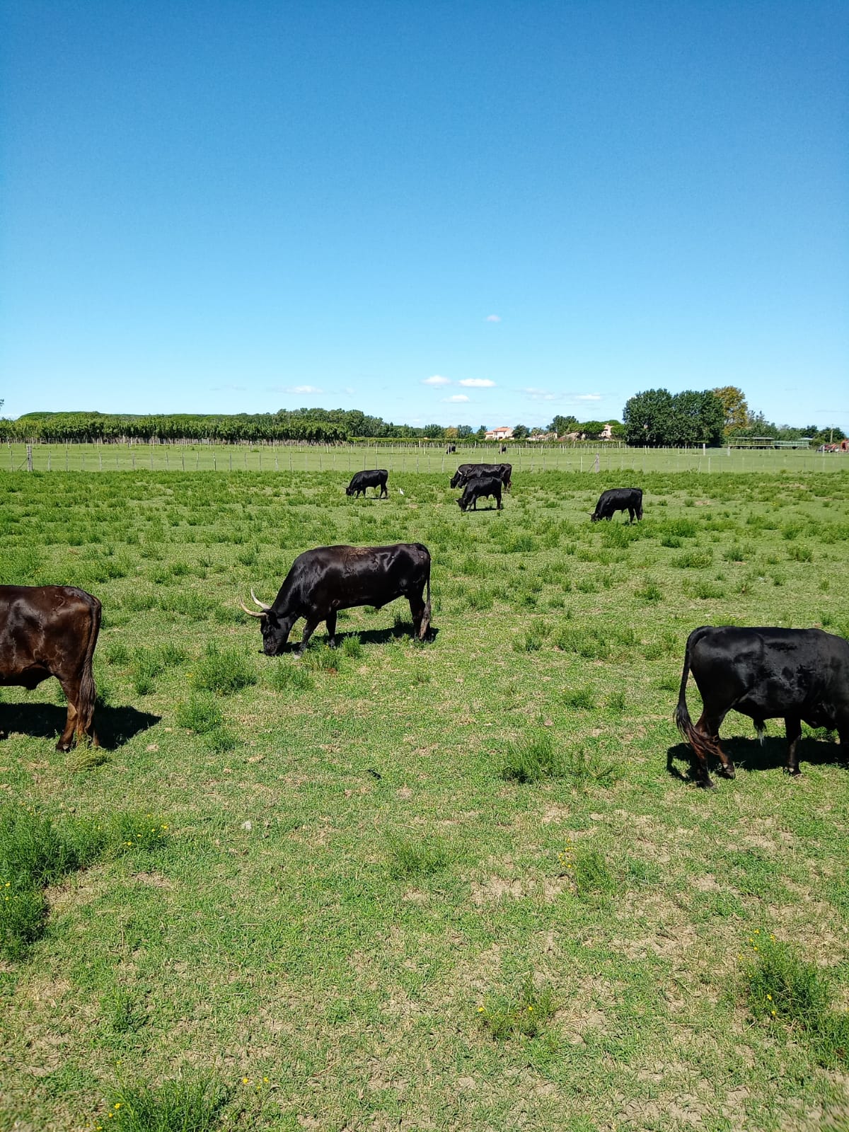 Photo n° 14 de l'avis de Véronique. fait le 21/08/2022 à 17:43