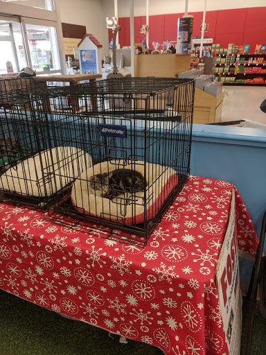 Pet Supply Store «Petco Animal Supplies», reviews and photos, 1333 Centennial Ave, Piscataway Township, NJ 08854, USA