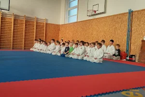 Karate Klub Kladno z.s. image