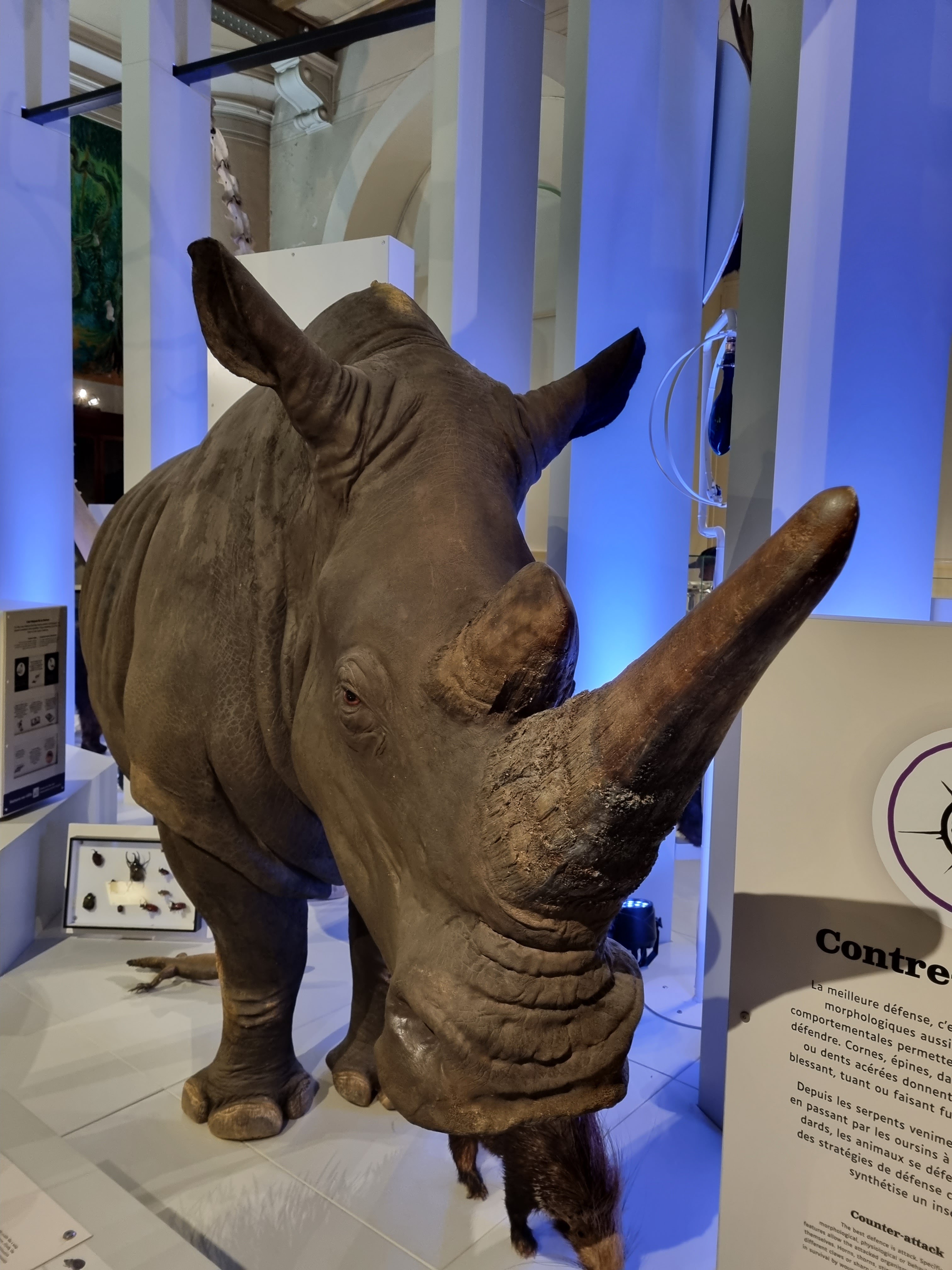 Photo n° 6 de l'avis de Jean-Louis.E fait le 15/08/2023 à 21:58