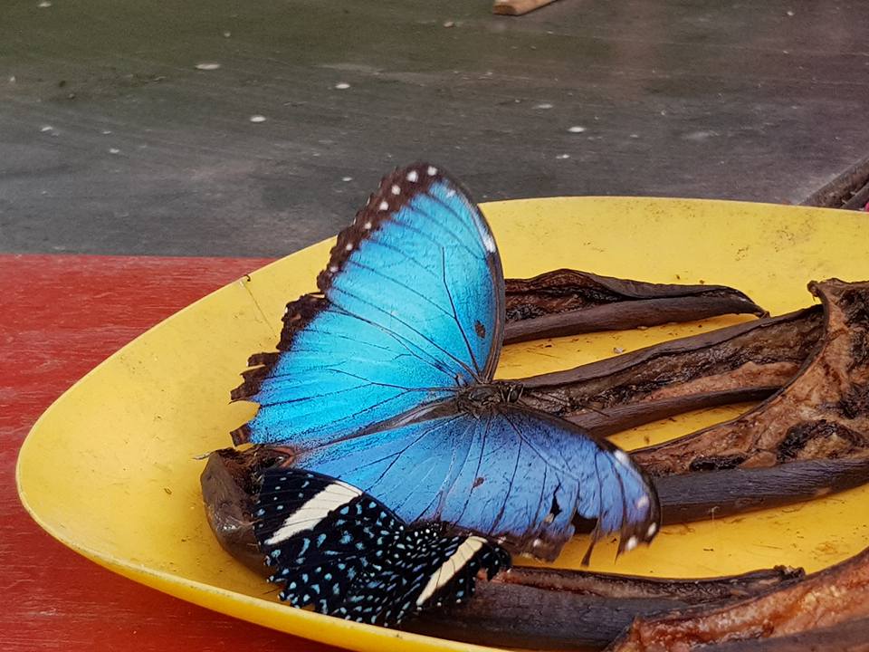 Photo n° 2 de l'avis de Evelyne.i fait le 26/05/2019 à 18:32