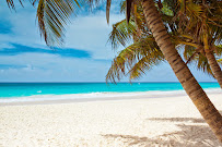 Paradise Cleaning Solutions - Photo 4 - Car repair in , Pomona