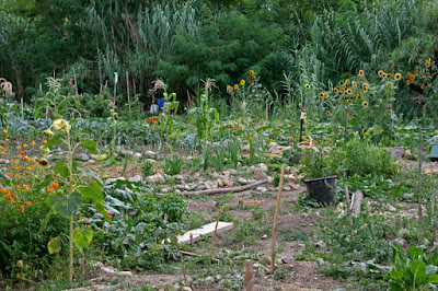 Jardins des Berges de Terre en Partage à Lodève