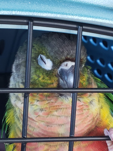 Pet Supply Store «Family Pet Store», reviews and photos, 38 Starrett Dr, Belfast, ME 04915, USA