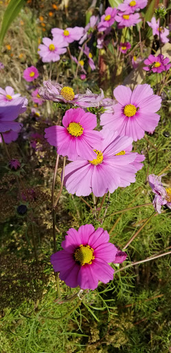 Railroad Company «Flower Farmer», reviews and photos, 2512 N Holly St, Canby, OR 97013, USA